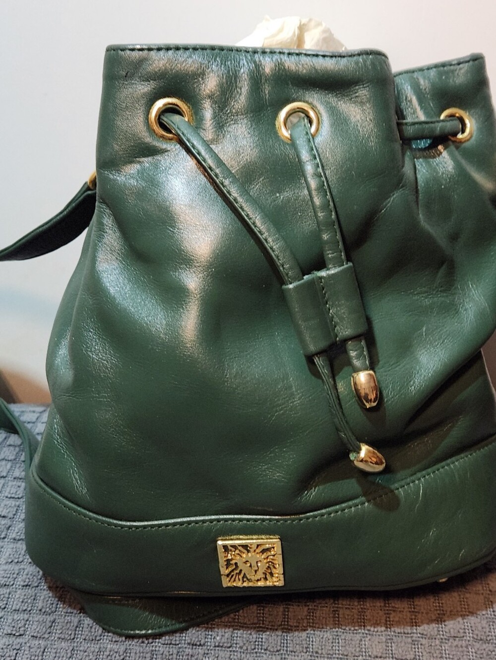 Anne Klein Green Medium Bucket Bag with Crossbody Strap